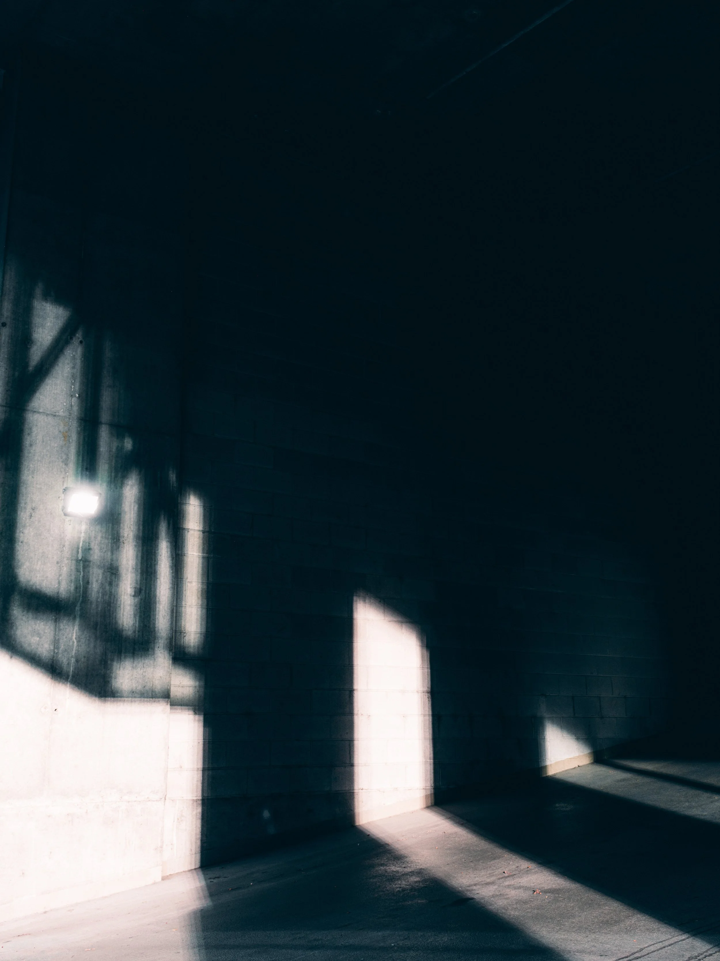 DSCF3381.jpg