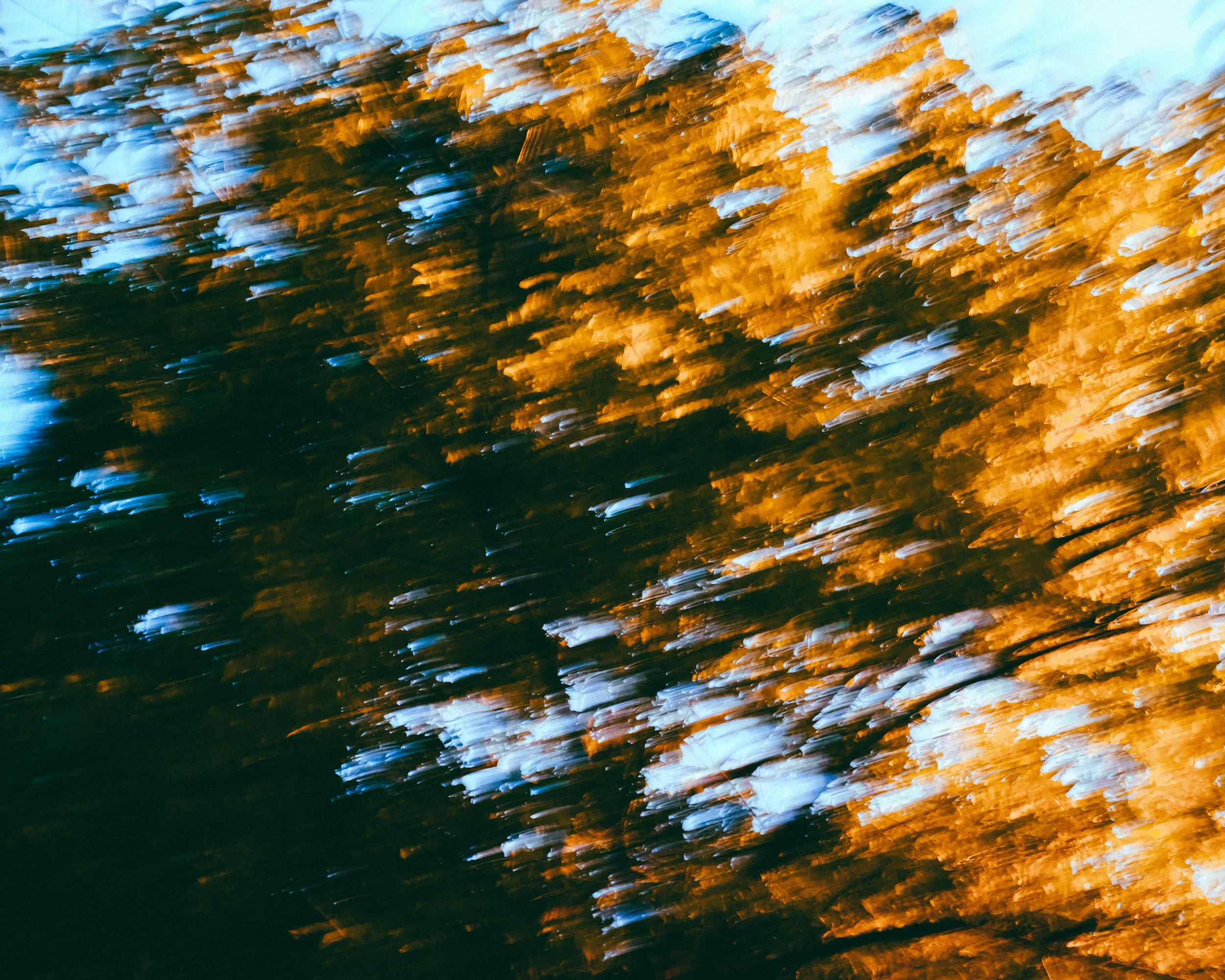 DSCF2290.jpg