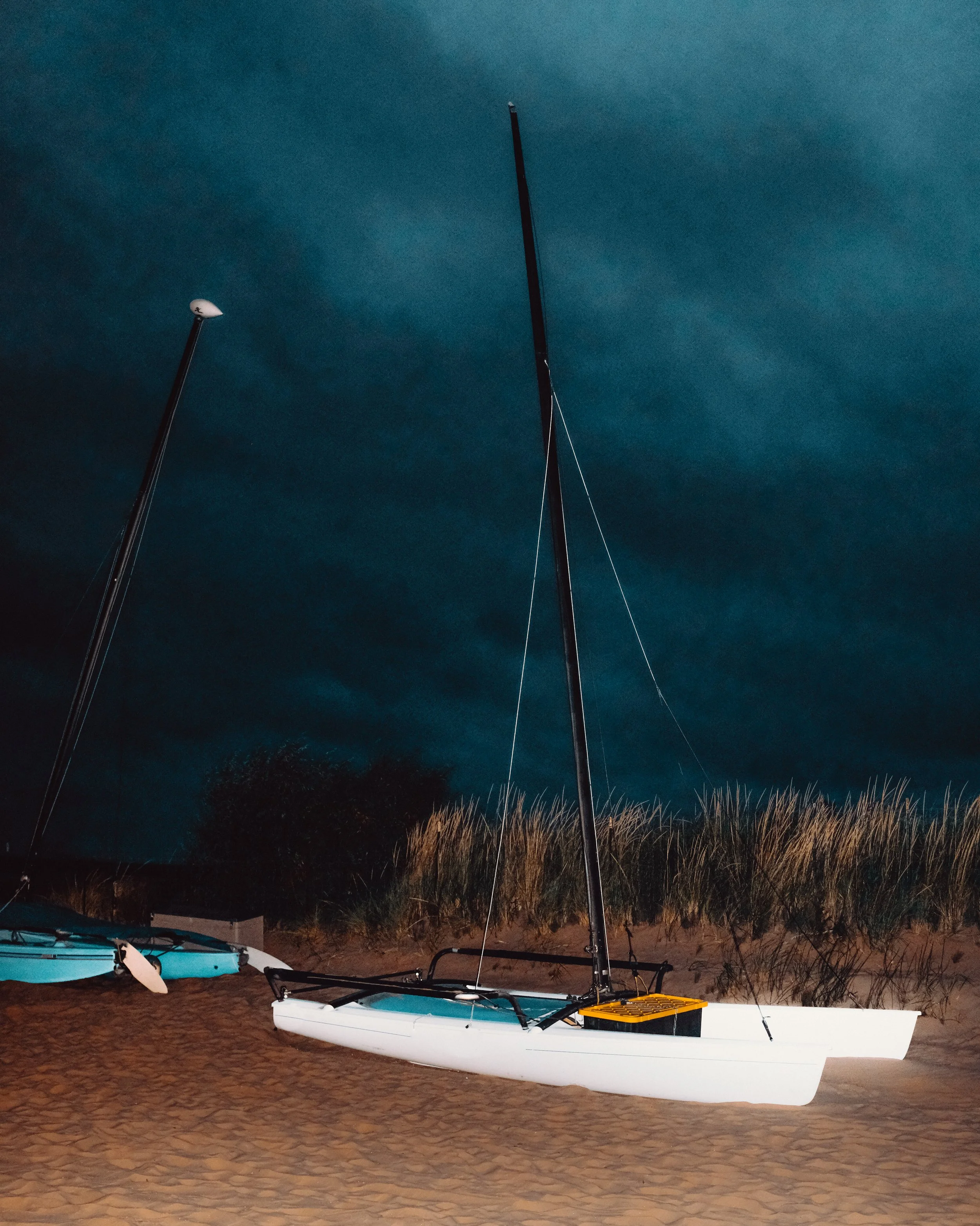 DSCF2313.jpg
