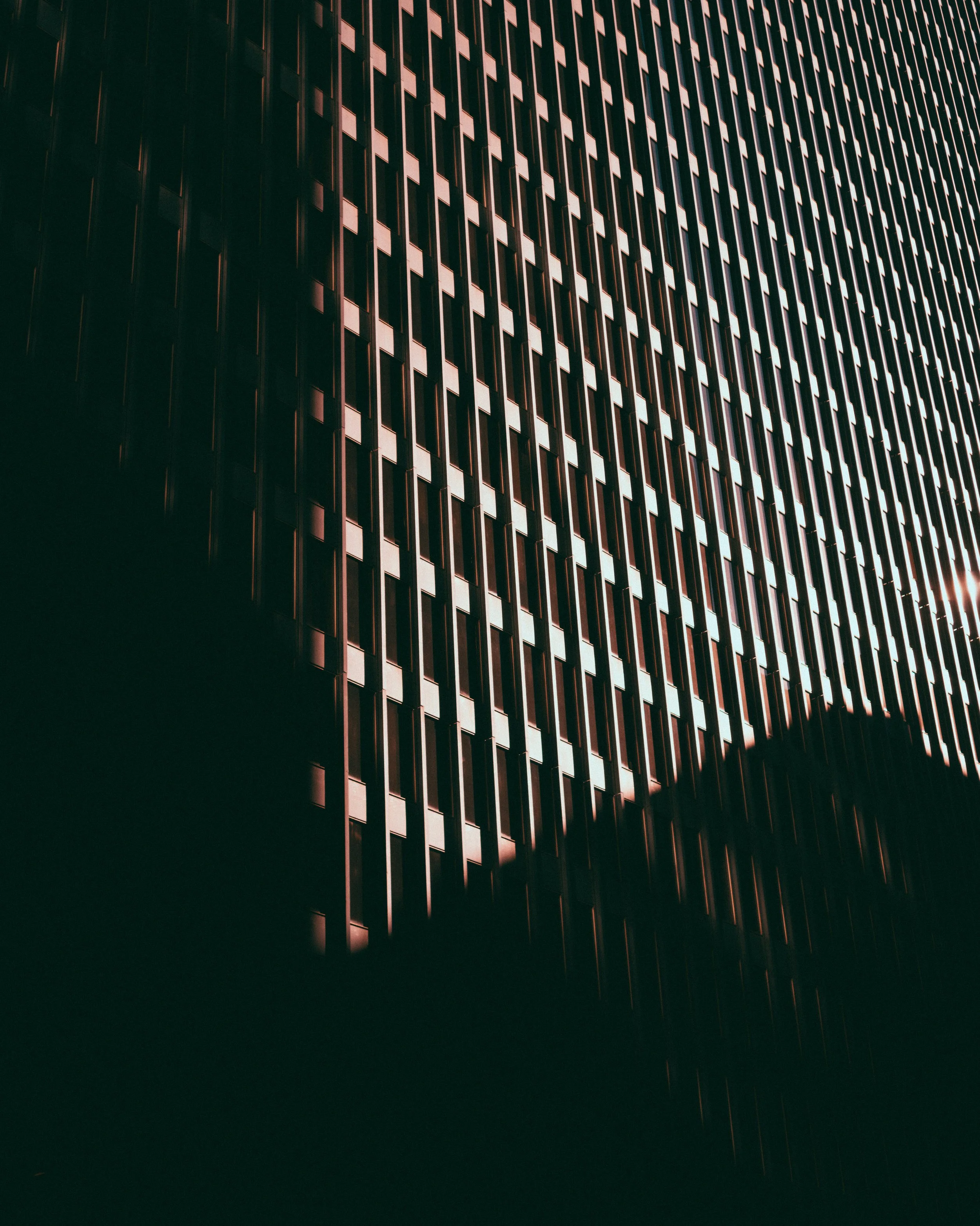 DSCF1975.jpg