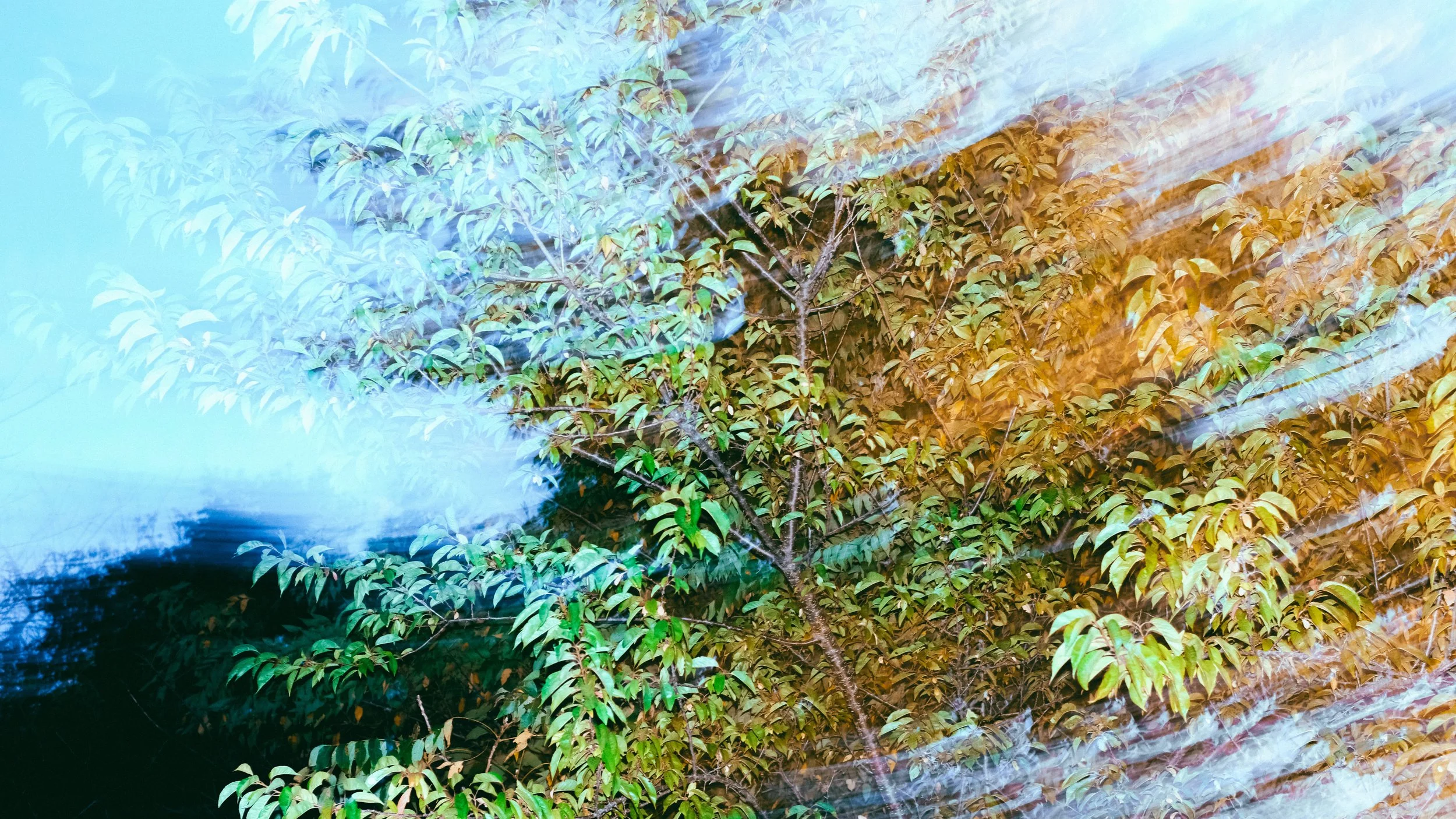 DSCF2289.jpg