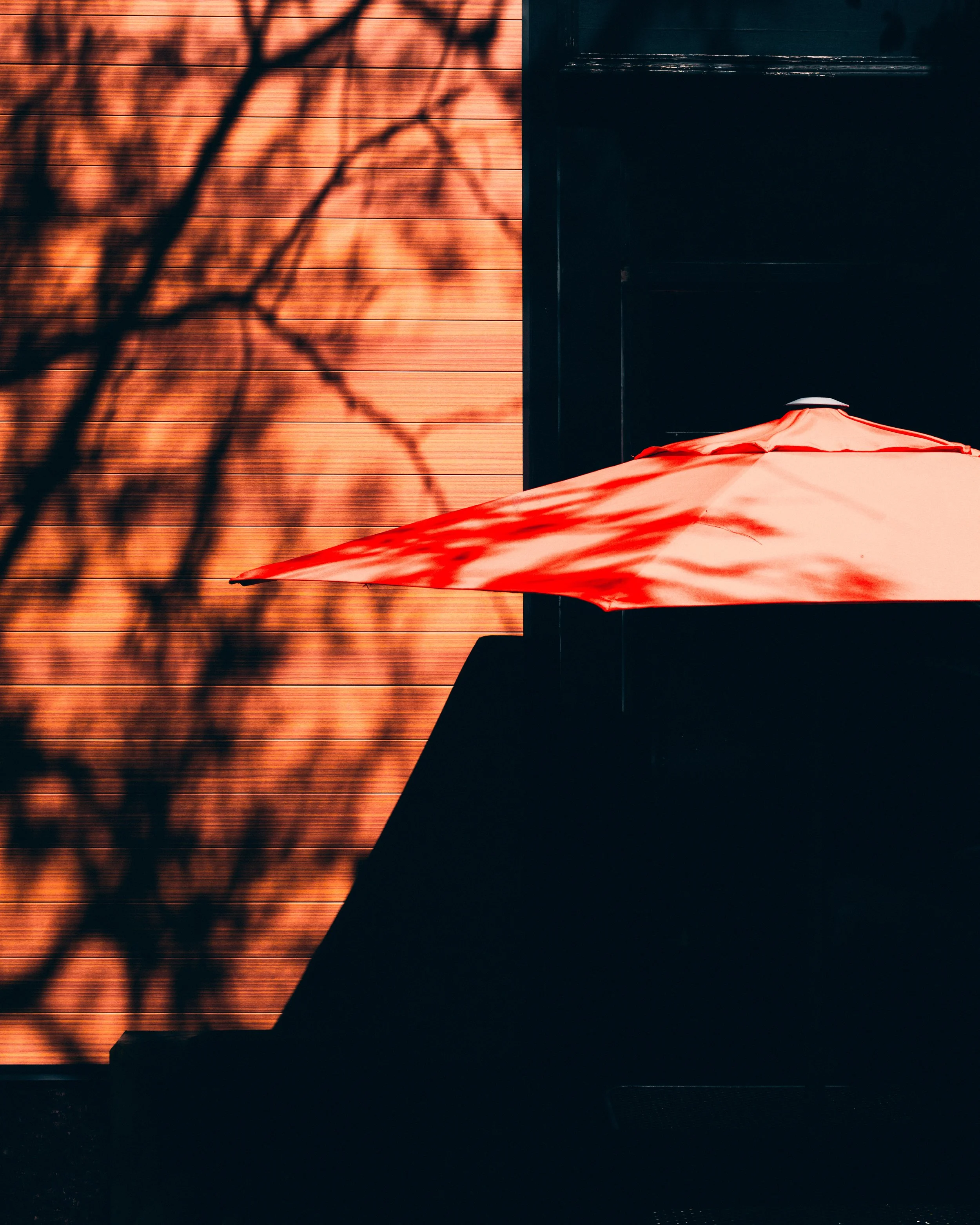 DSCF2859.jpg