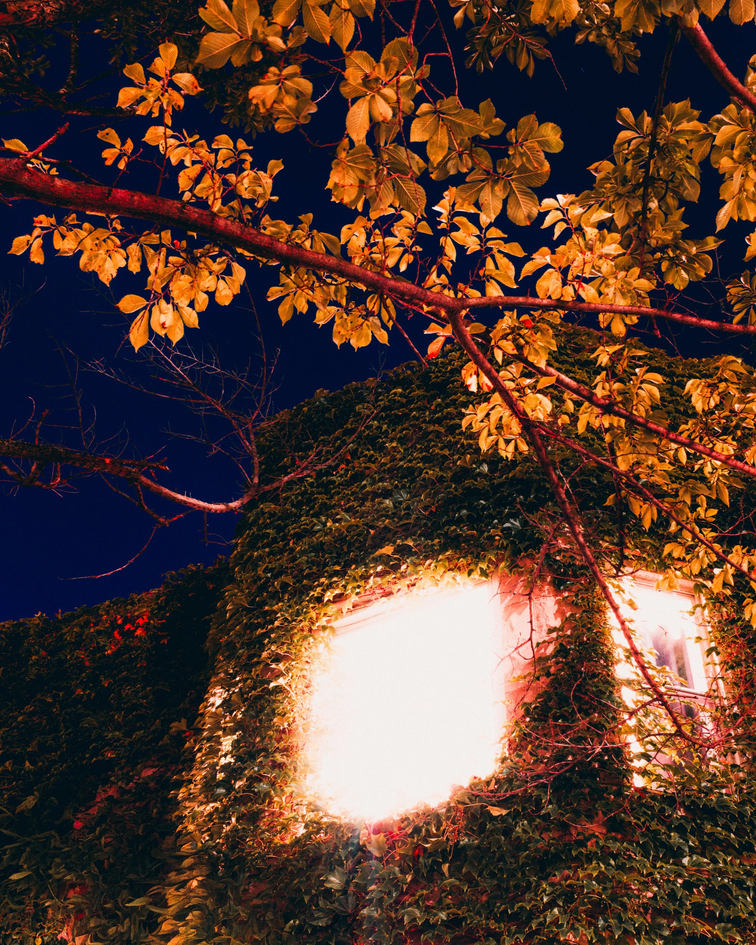 DSCF5160.jpg