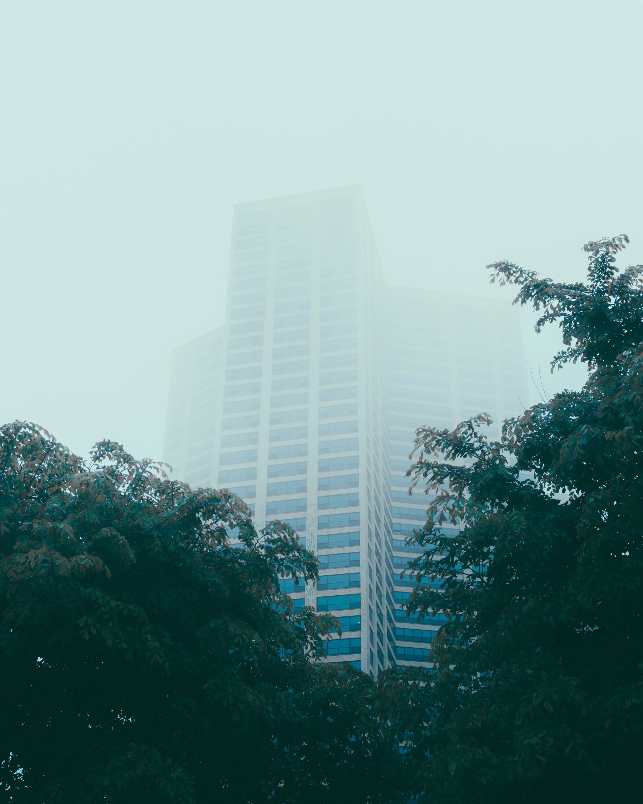DSCF8284.jpg