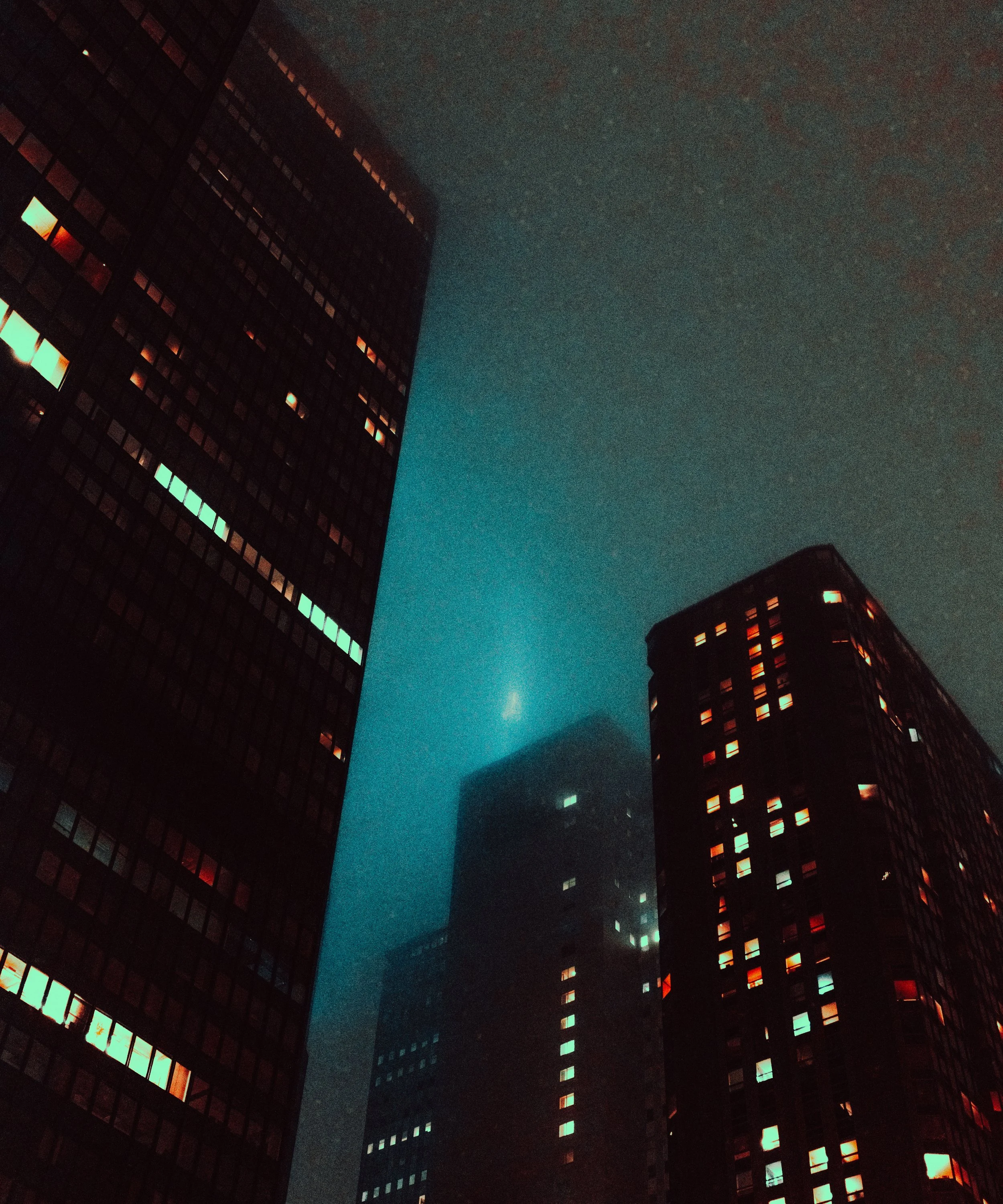 DSCF3281.jpg