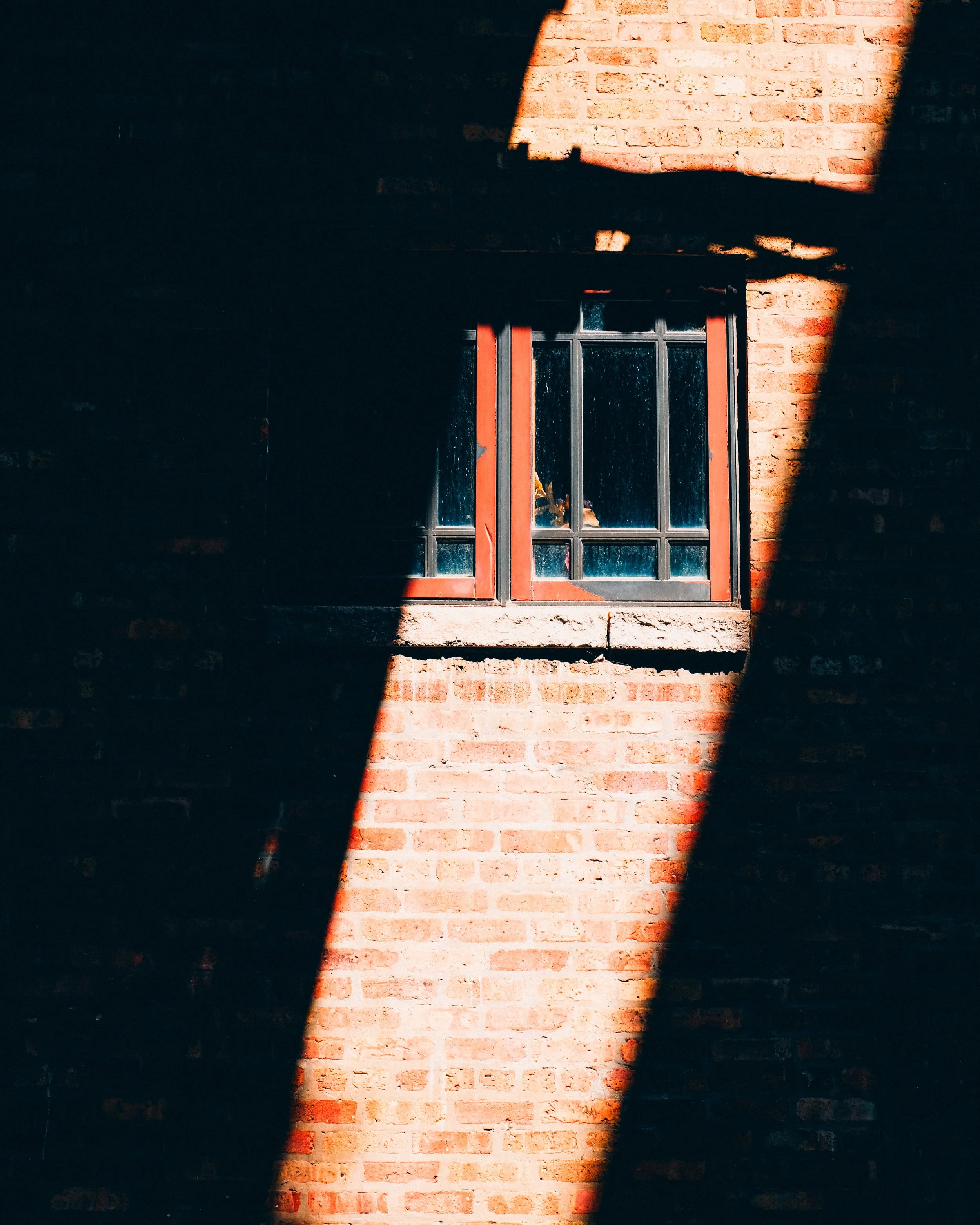 DSCF3395.jpg