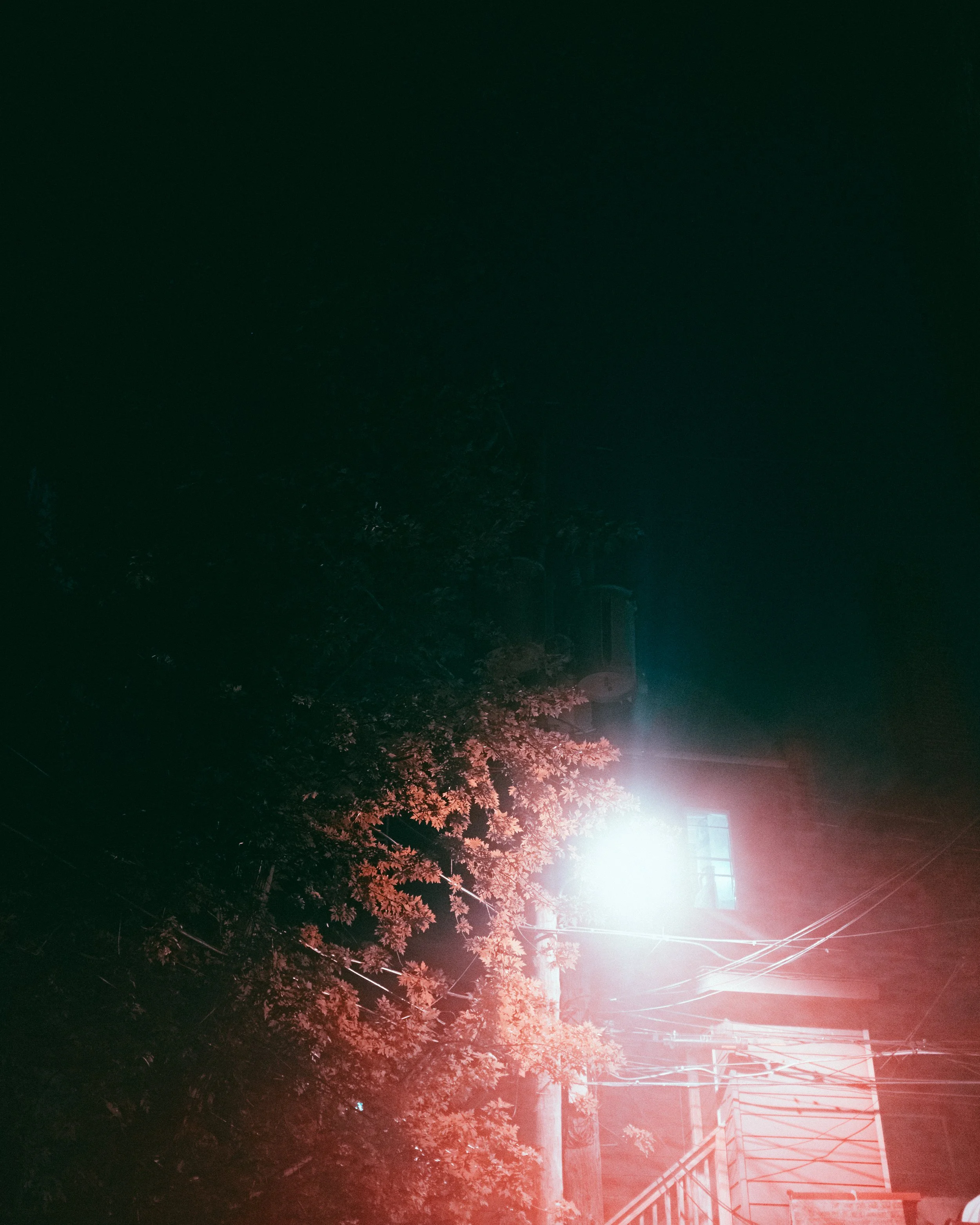 DSCF2966.jpg