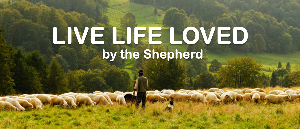 Live Life Loved by the Shepherd