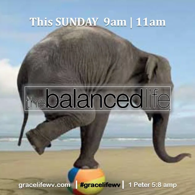 The Balanced Life