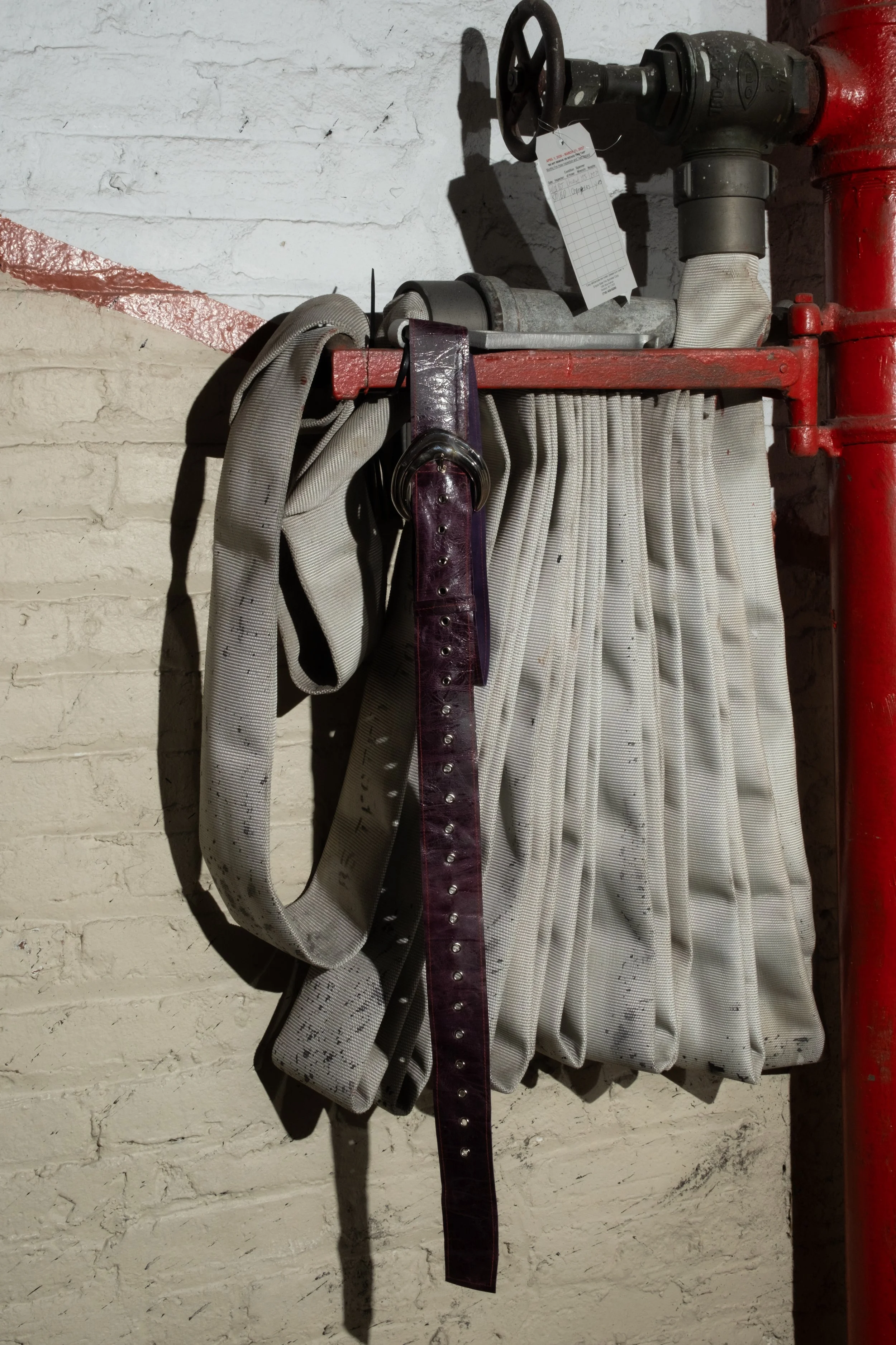 DSCF1063.JPG