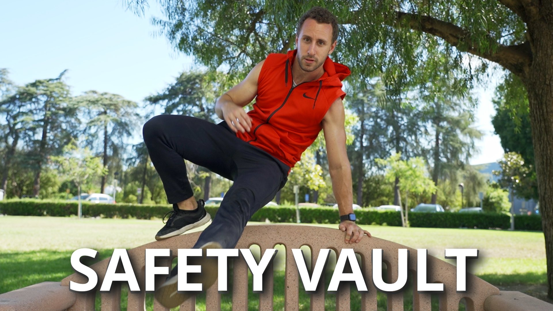 SAFETY VAULT TEXT 2_6.1.3.jpg