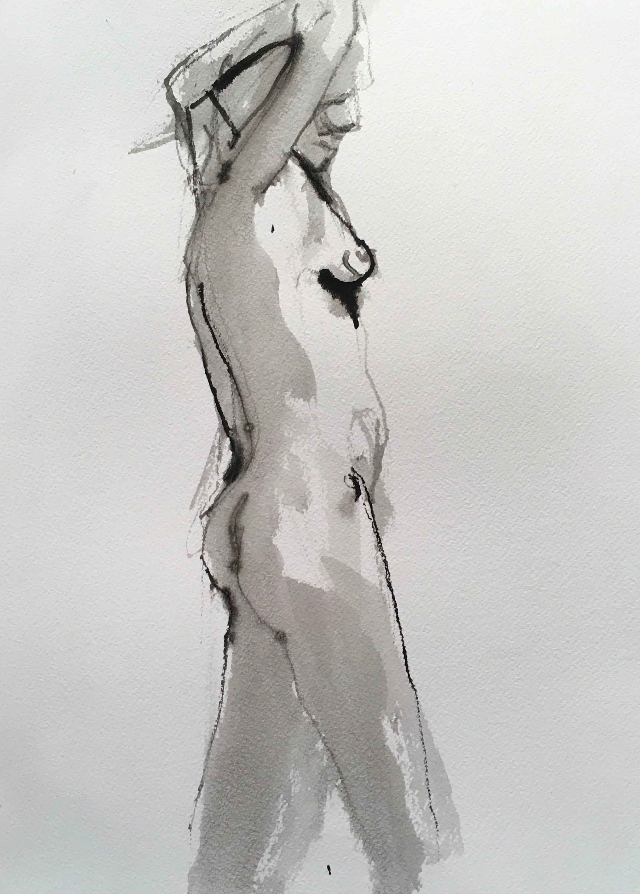 14" x 12", ink on paper
