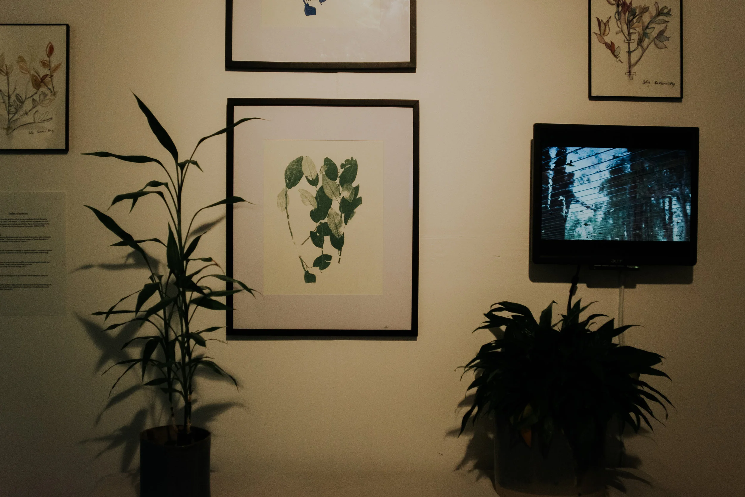 untitled-23.jpg