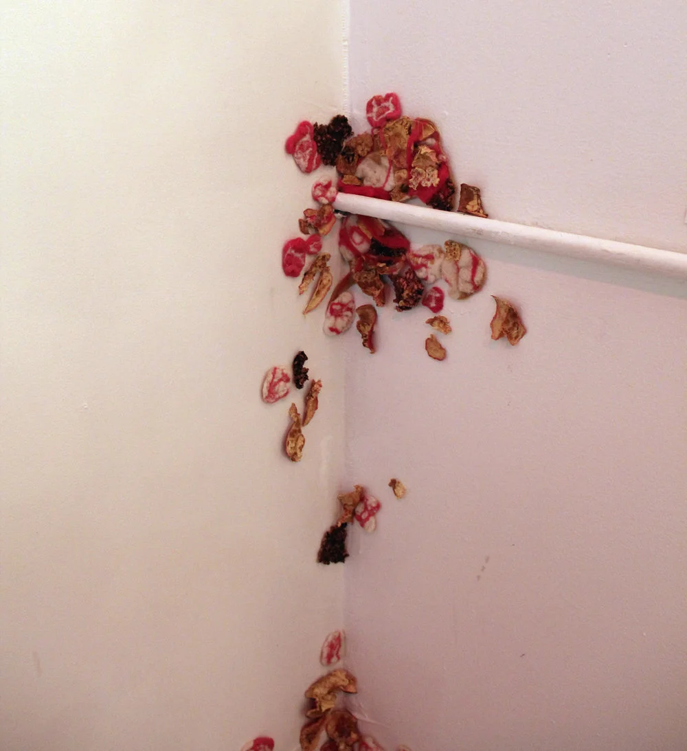 Teething,+Tannaz+Motevalli,+detail+2.jpg