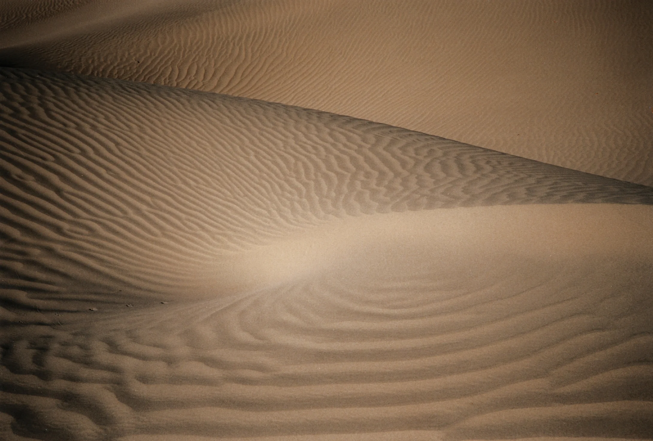 Dune Dream #1