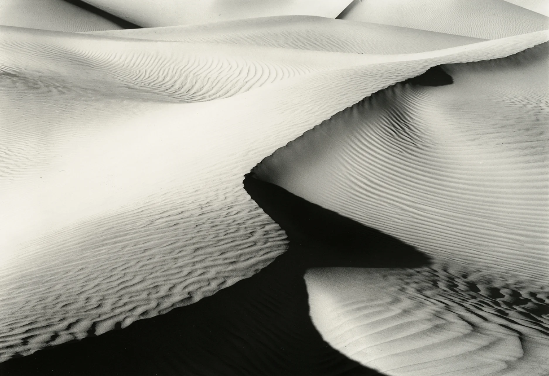 Dune Dream #2
