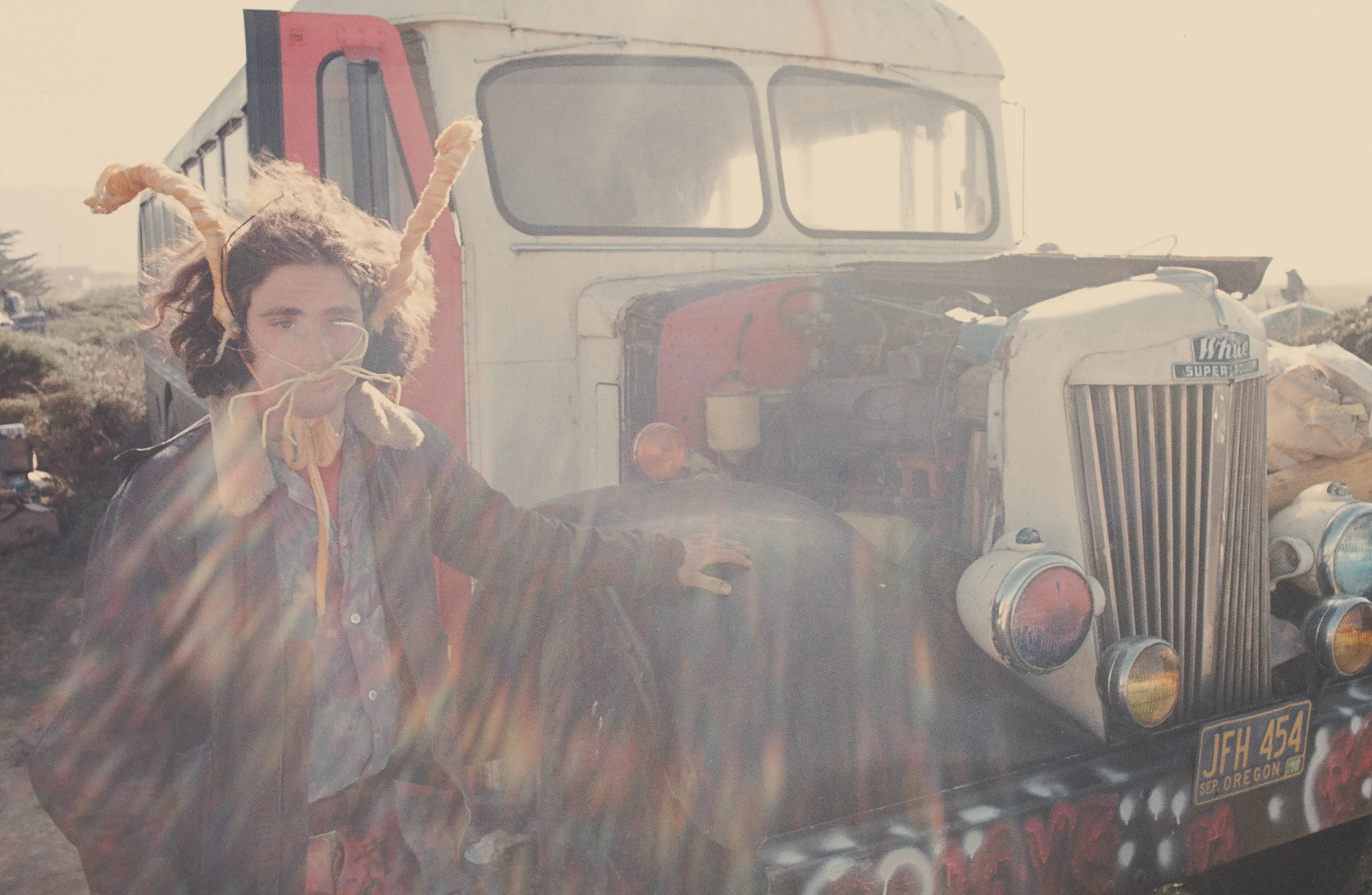 Zodiac as Z. Rabbit and Bus