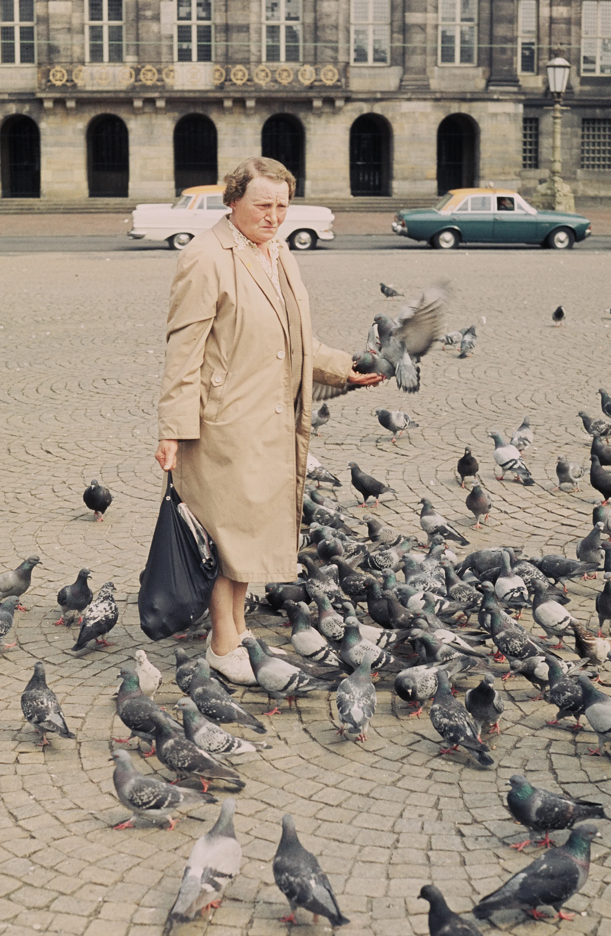 Pigeon Lady