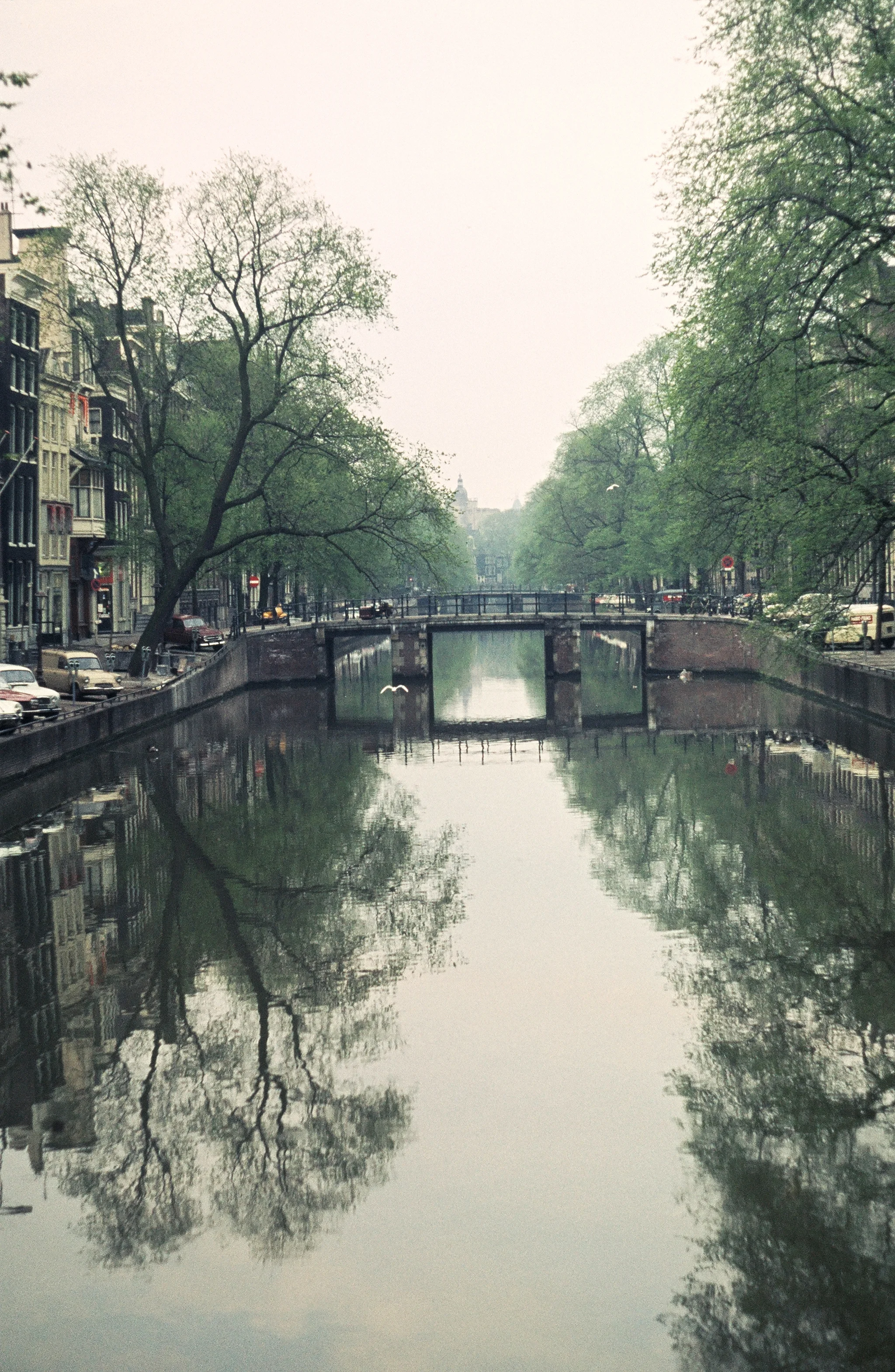 Canal at Dawn