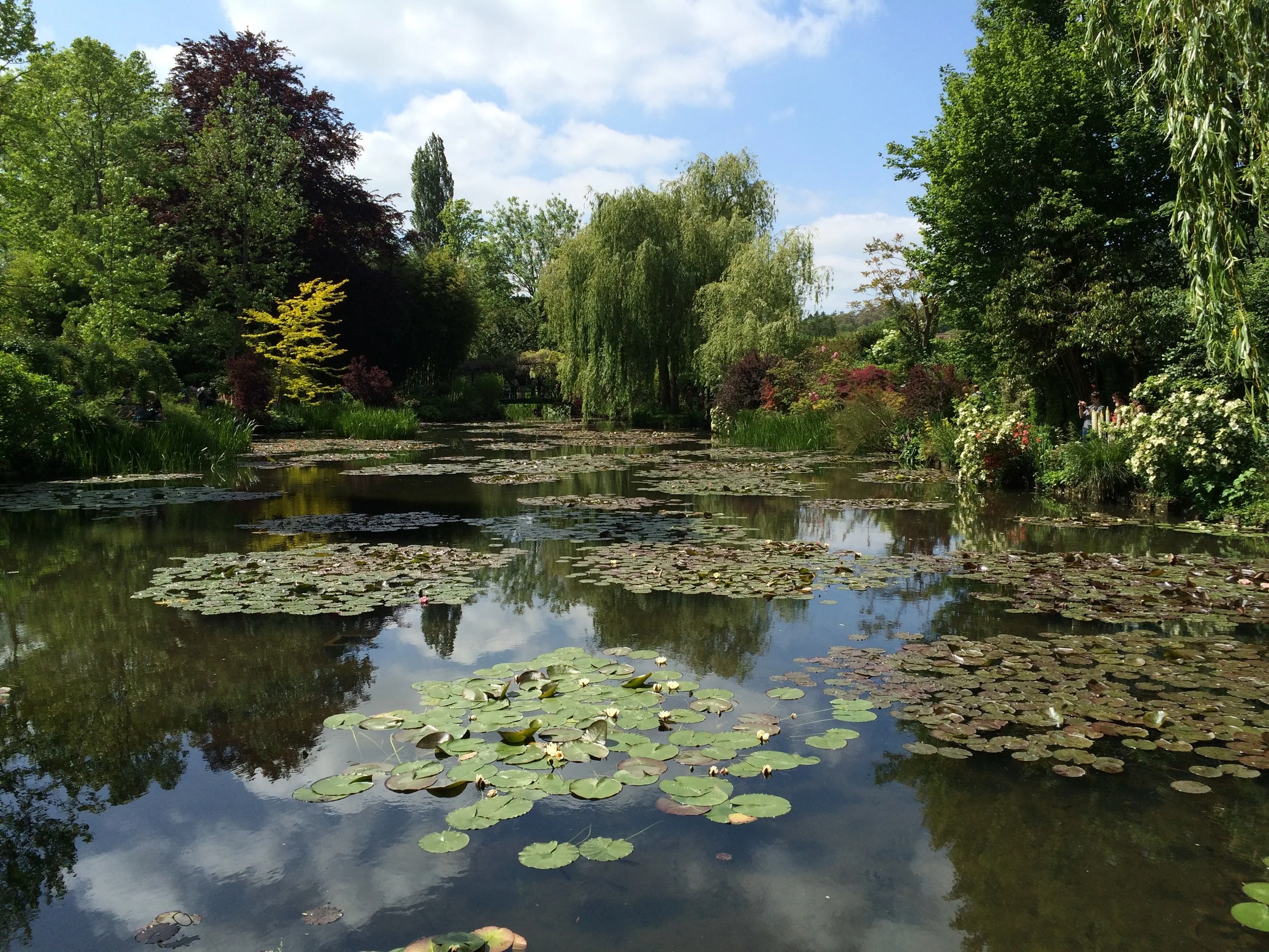 Monet's Gardens
