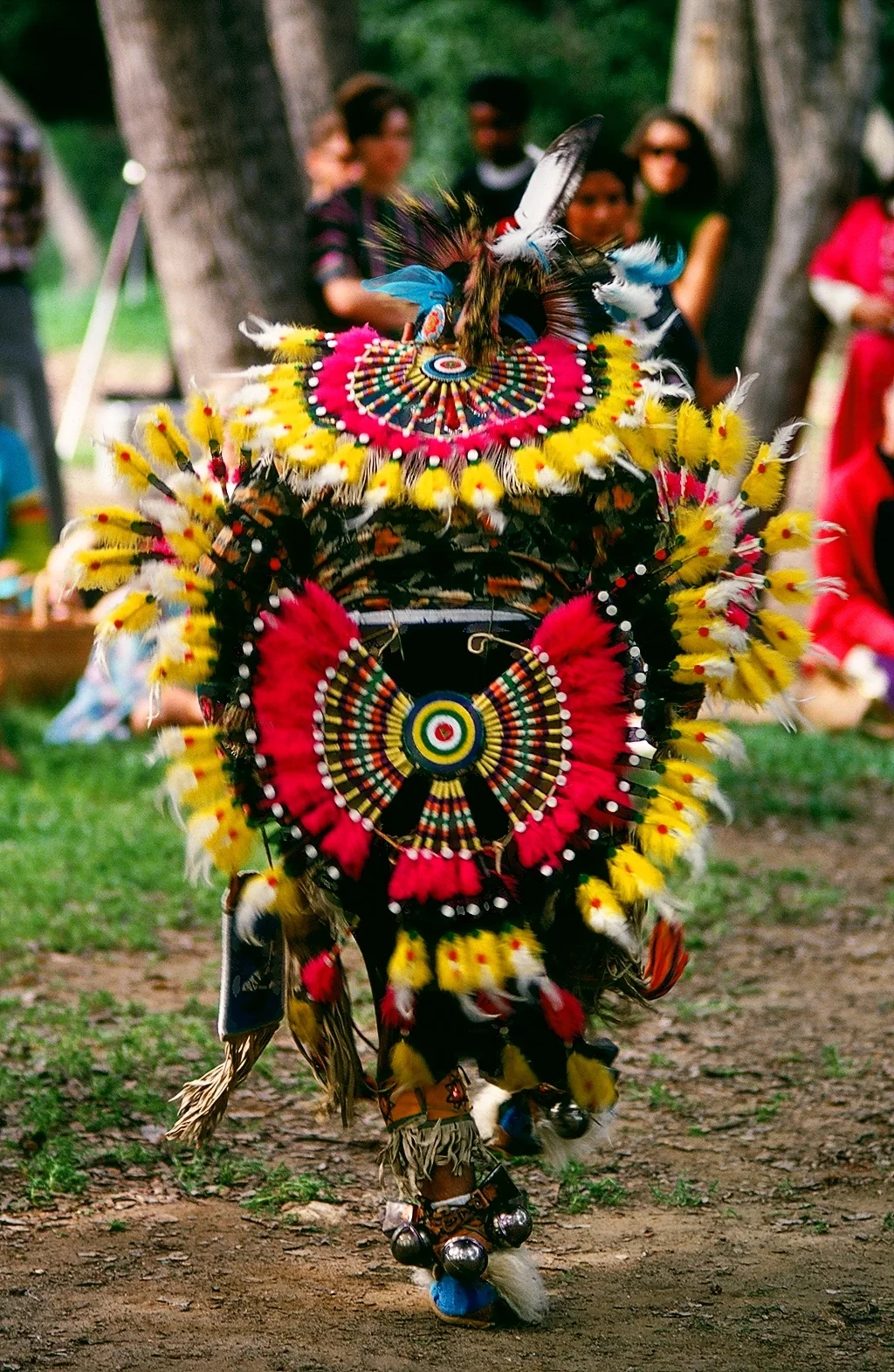 Eagle Dancer #3