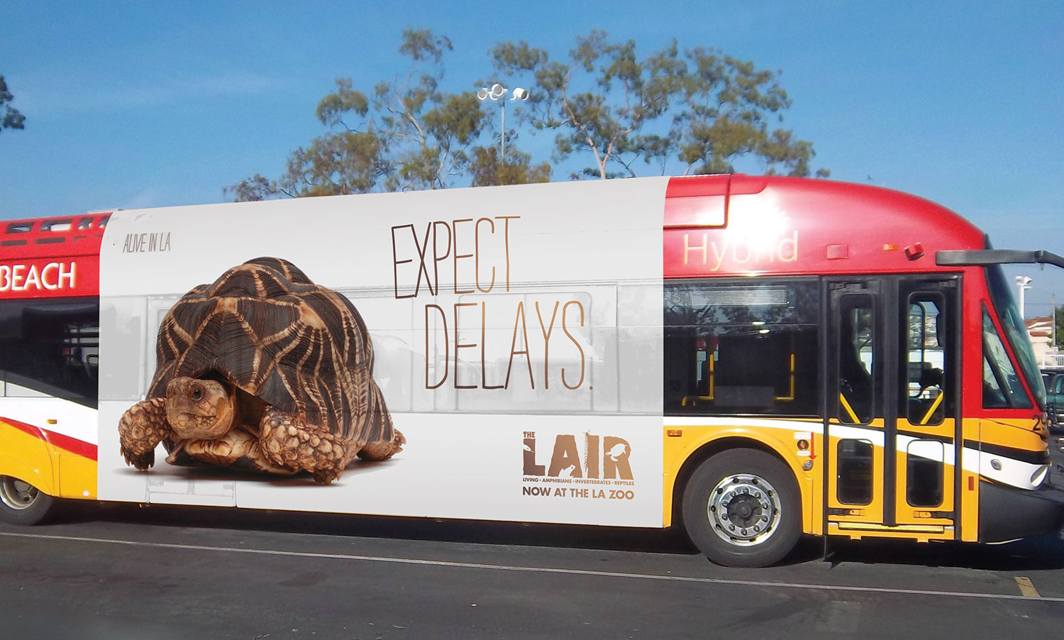zoo_expectdelays.jpg
