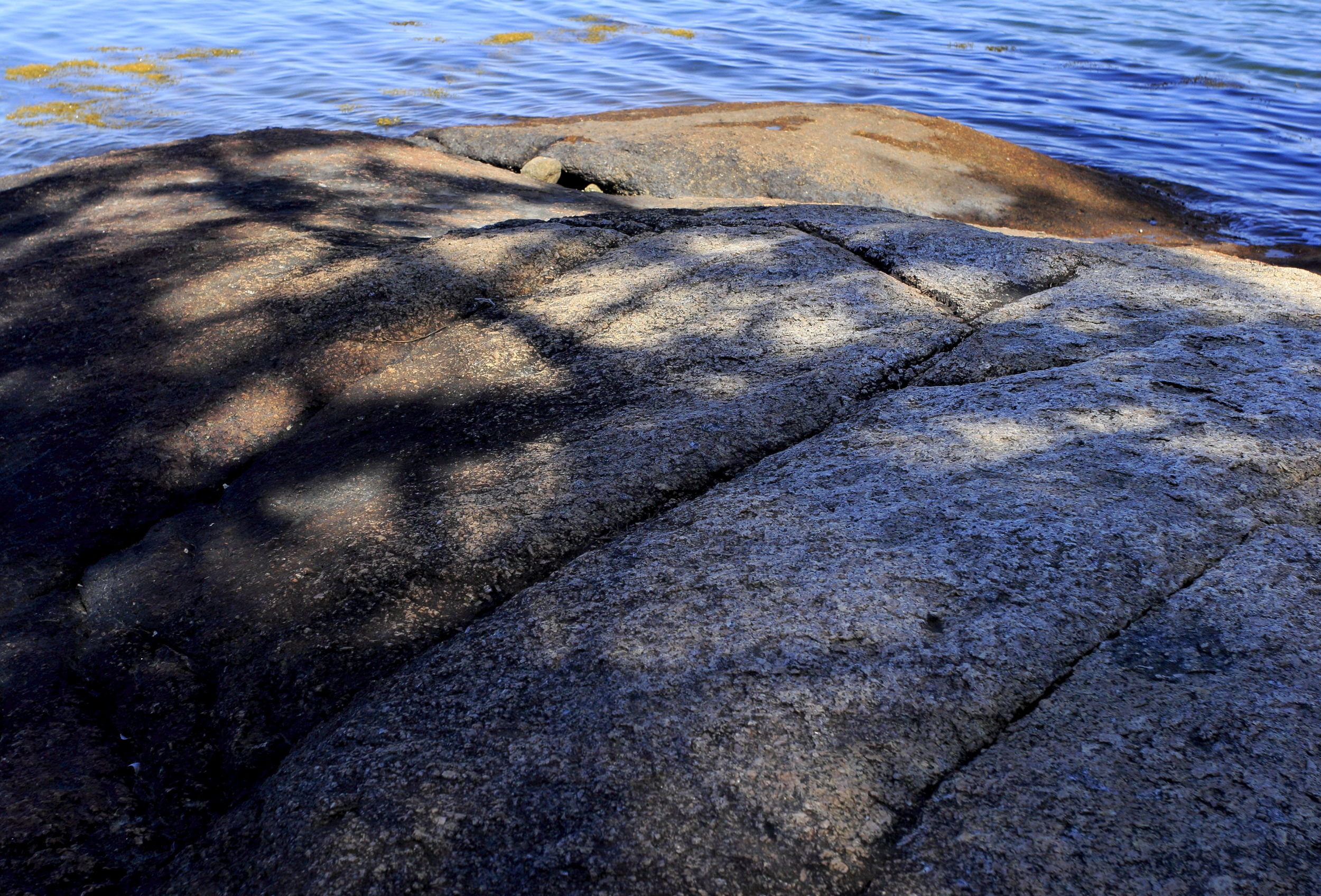 Water #16  A weathered pink granite rock with tree shadows at sunset.
