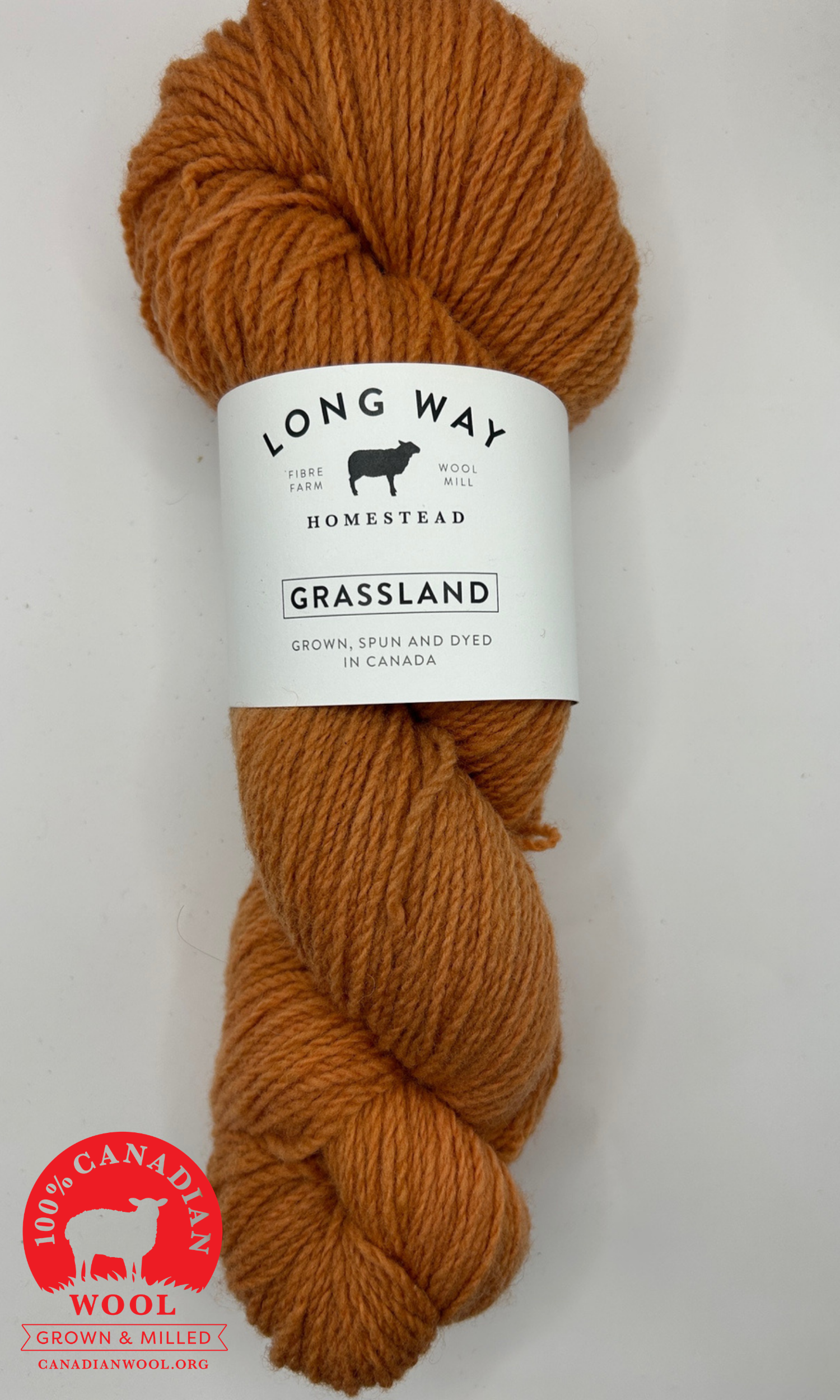 Grassland apricot-1.png