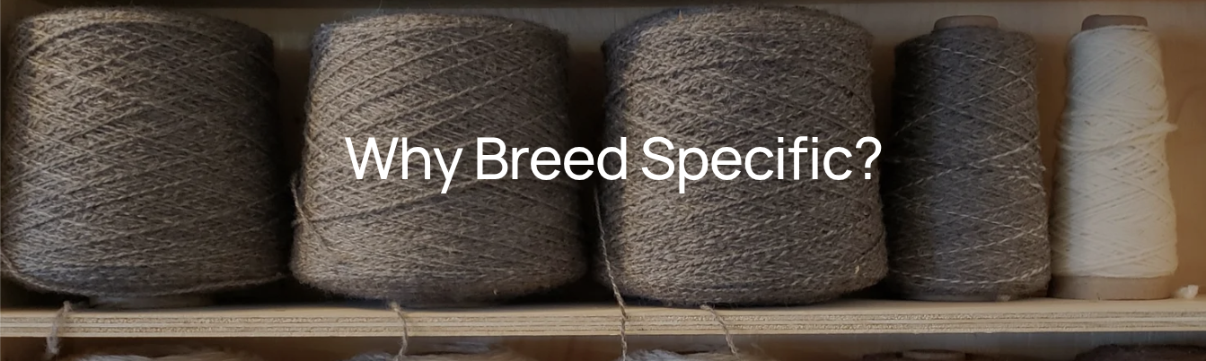 Why Breed Specific?