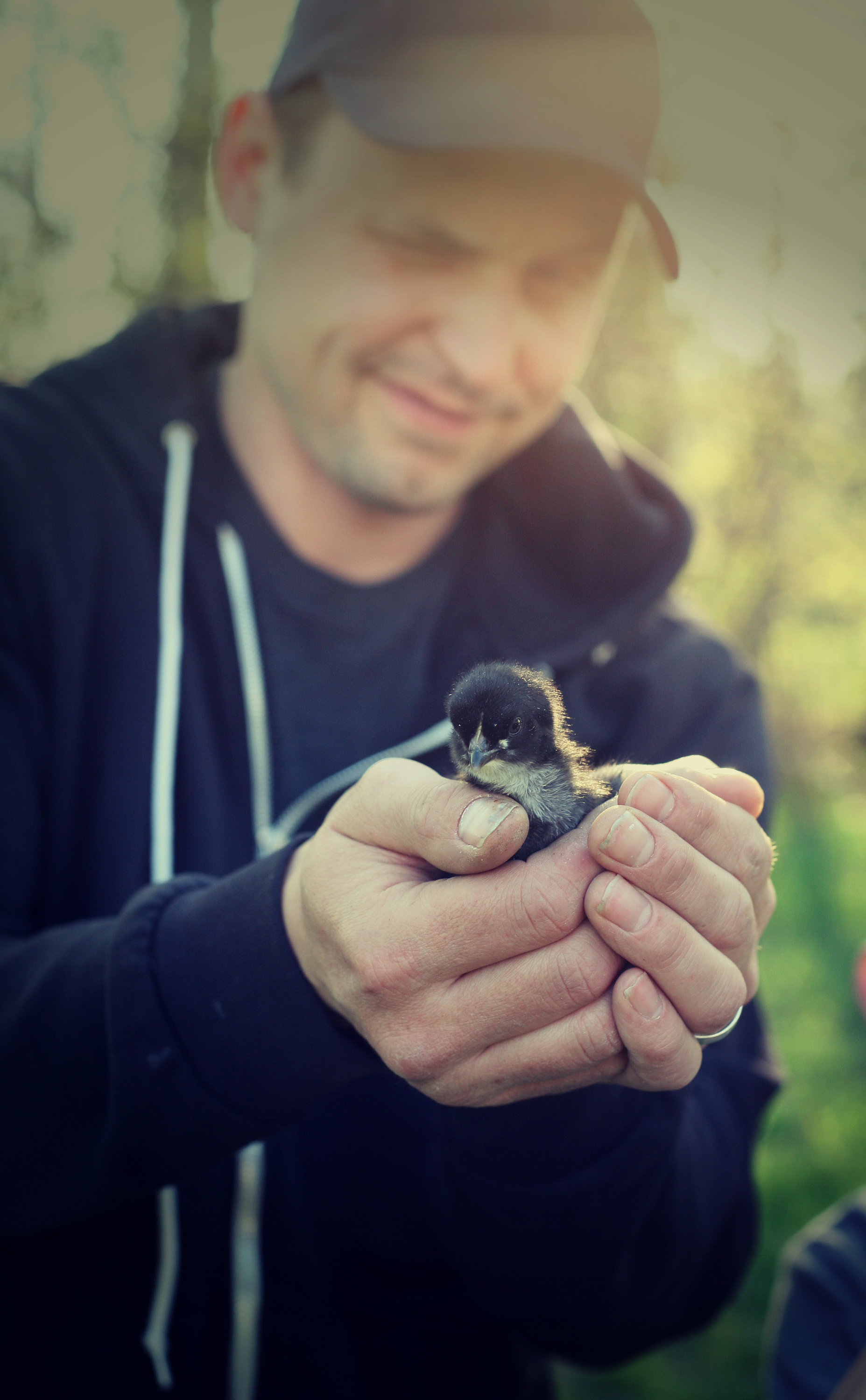 Luke and his Black Maran chick!