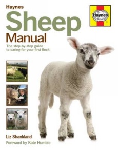 Like all Haynes manuals, this one is based on a complete tear down and rebuild.