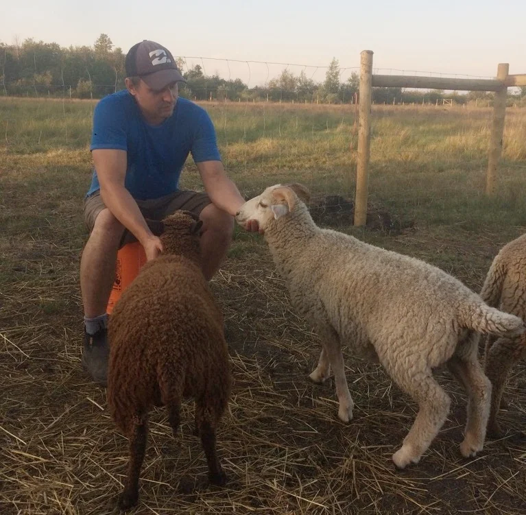 Me with lambs Oban and Bjorn. Incredibly hostile creatures.