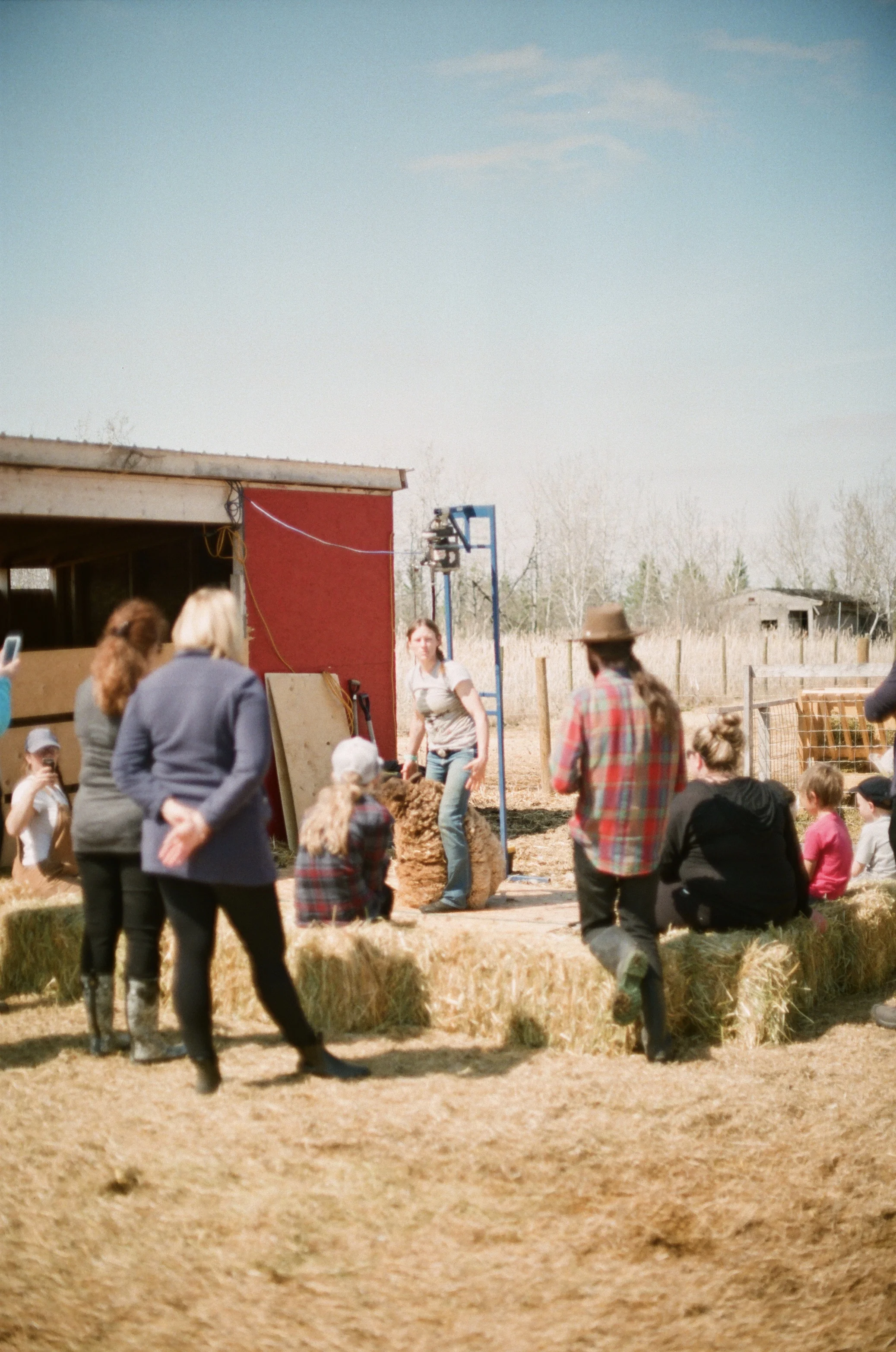 Stacey explaining the process of shearing (Photo by Mackenzie Smith)