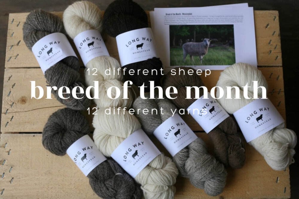Breed Specific Yarn - Monthly Subscription