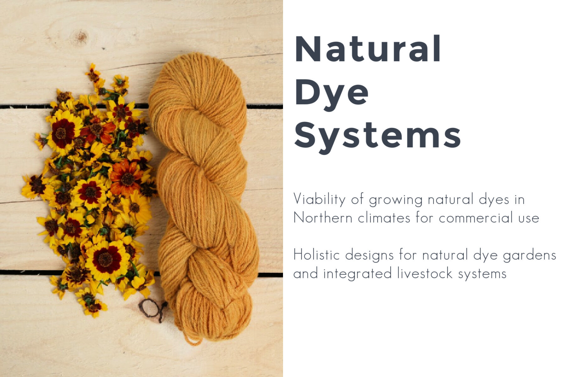 Natural Dye Systems Classes — long way homestead