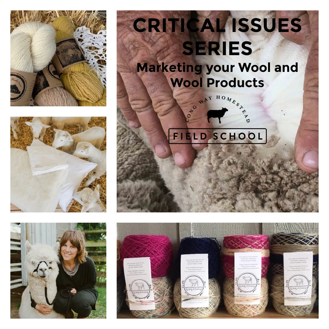 Marketing for Fibre Farmers - A Panel Discussion