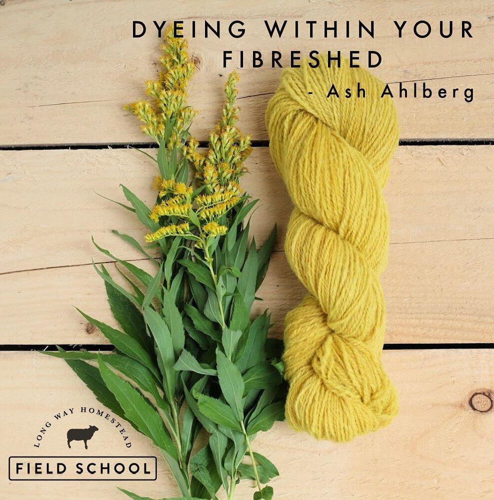 Field School workshop this weekend with @sunflowerknit 
SATURDAY, JULY 24
10am - 12noon

This workshop will cover the science of natural dyeing in a fun and approachable way, giving students the knowledge and confidence to start experimenting with dy