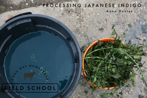 Japanese Indigo Workshop