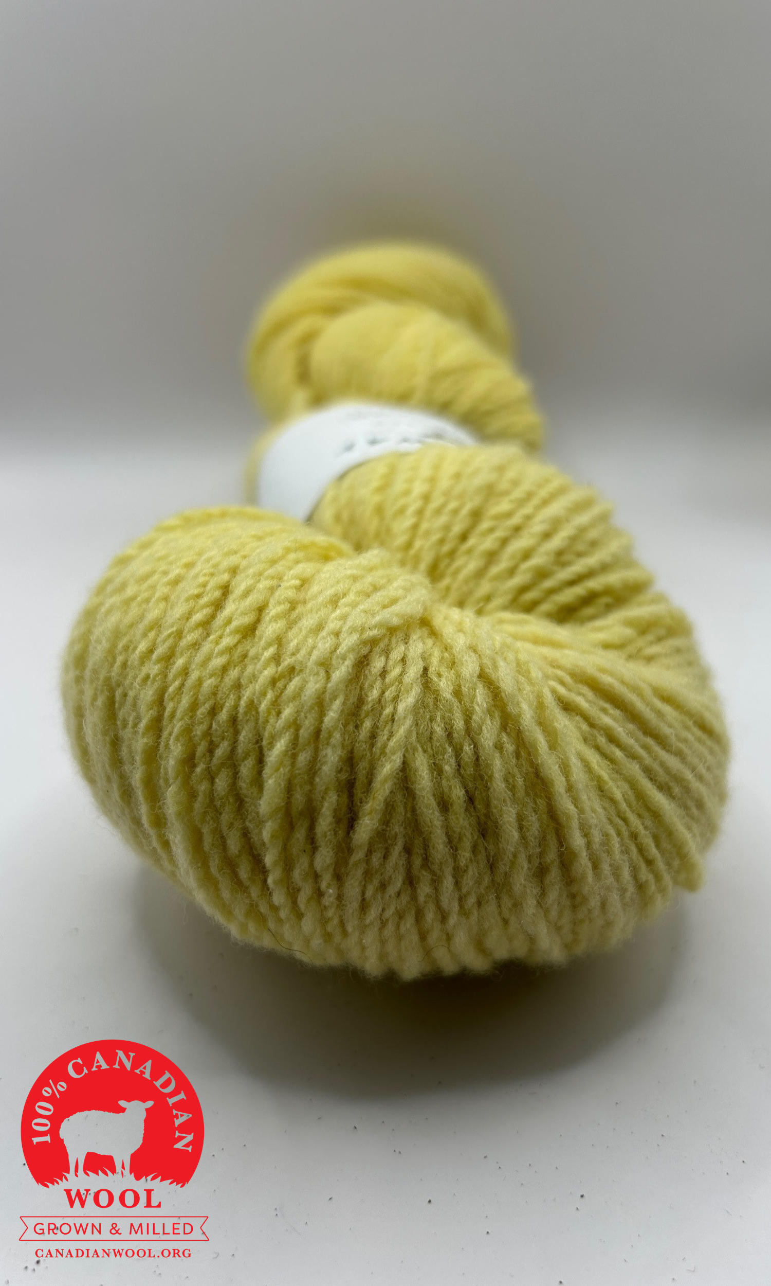 yarn for website with logo.png
