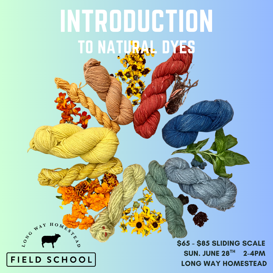 Introduction to Natural Dyeing  - Sun. June 28th