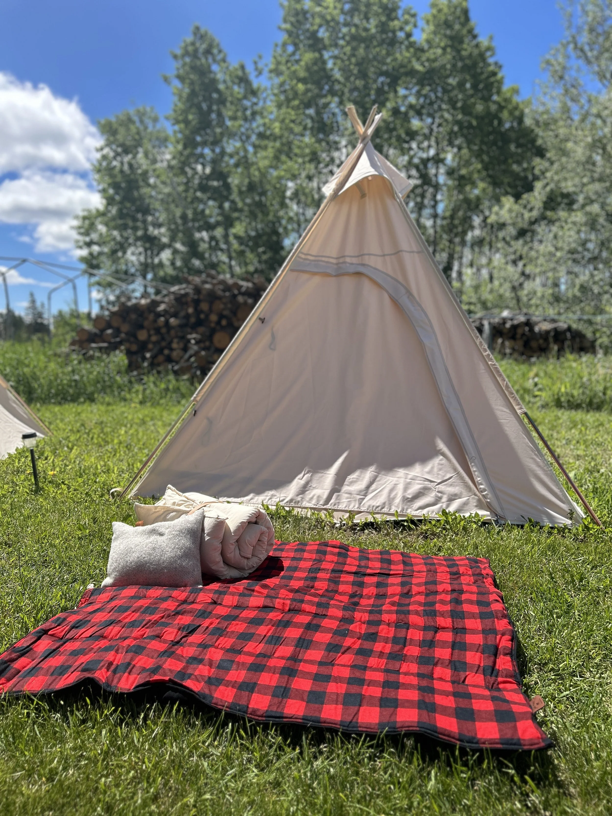 Adventure blanket-1.jpg