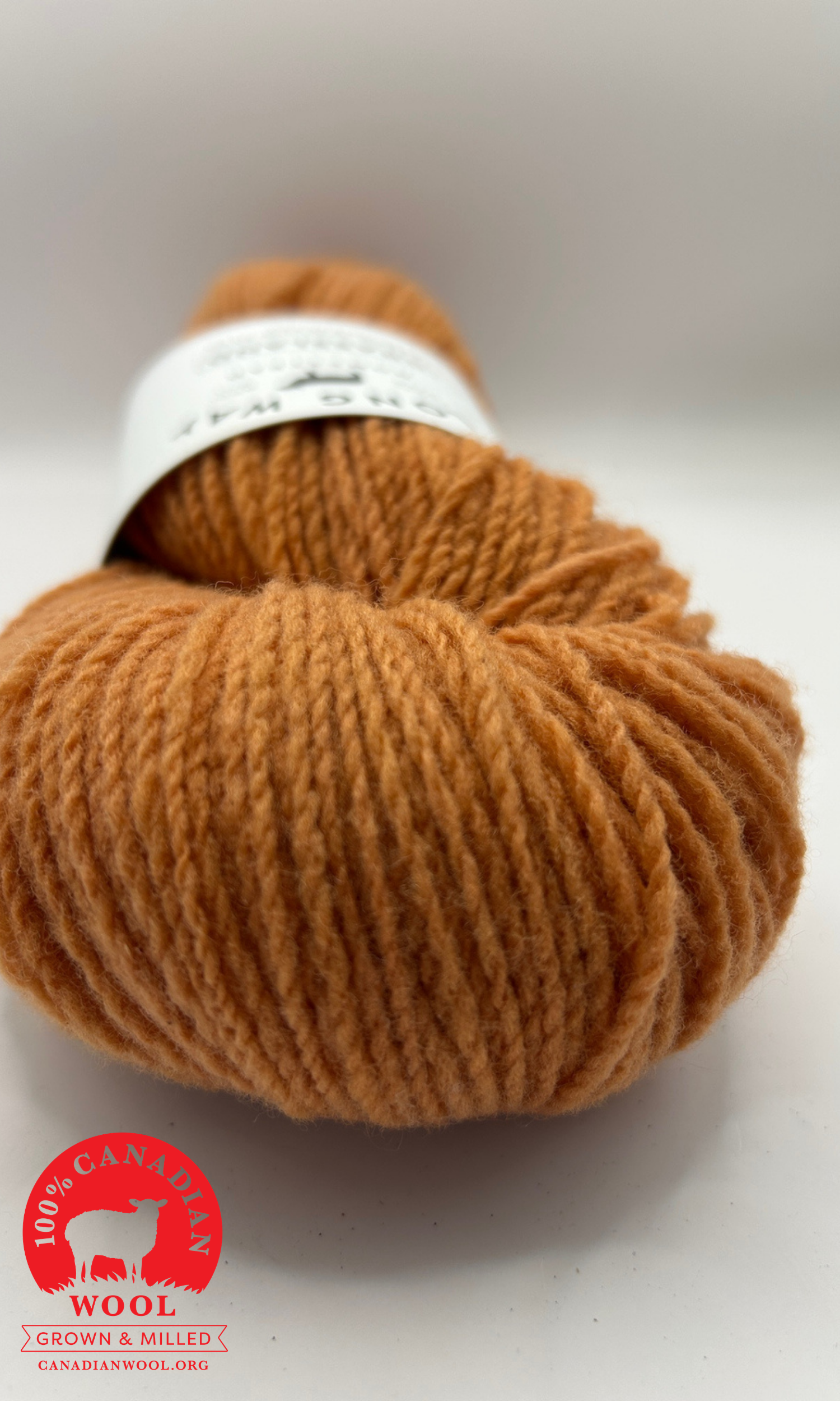 Grassland apricot -2.png