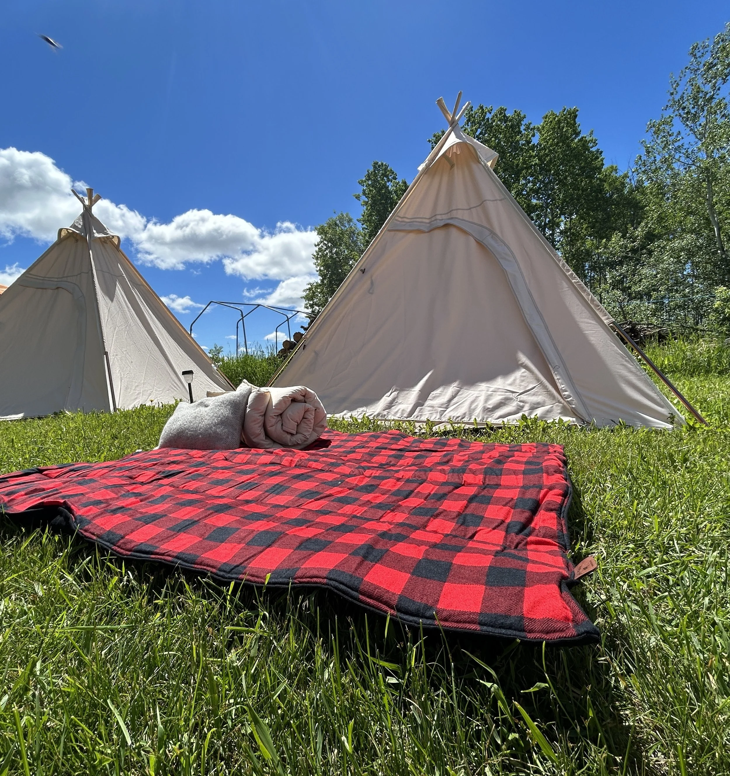 Adventure blanket-3.jpg