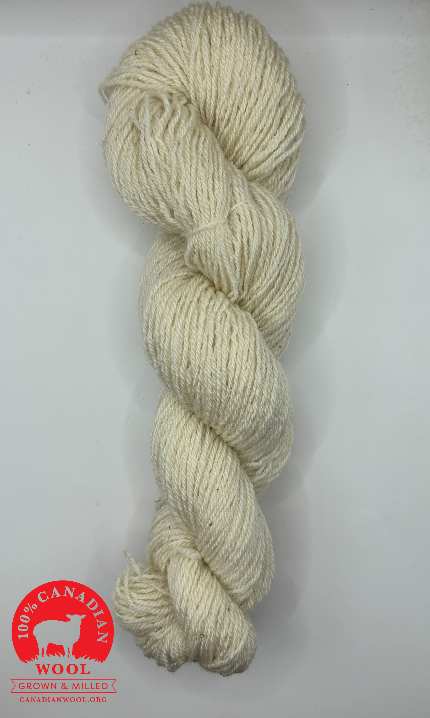 BFL blank - 2.png