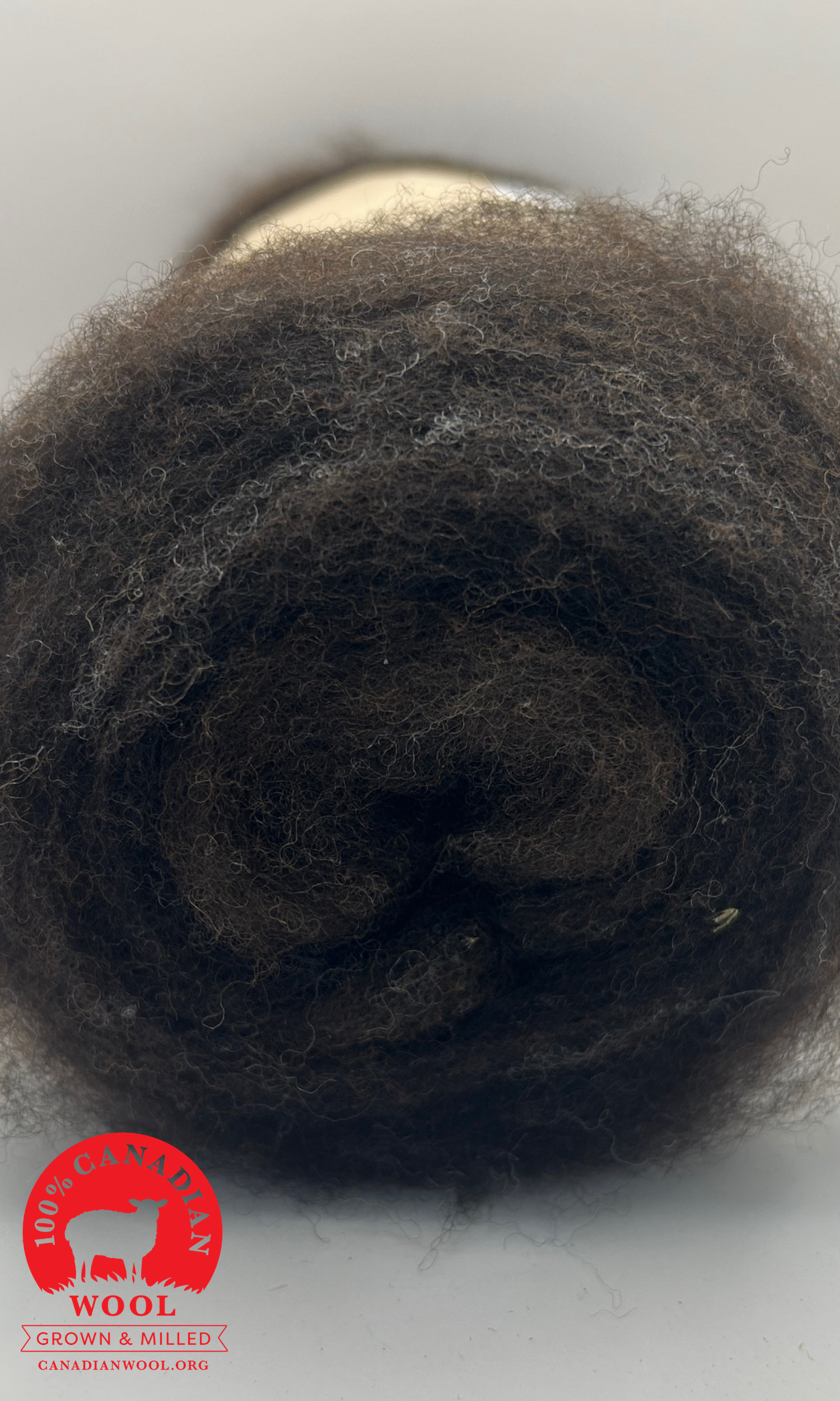 Rideau Roving - 1.png