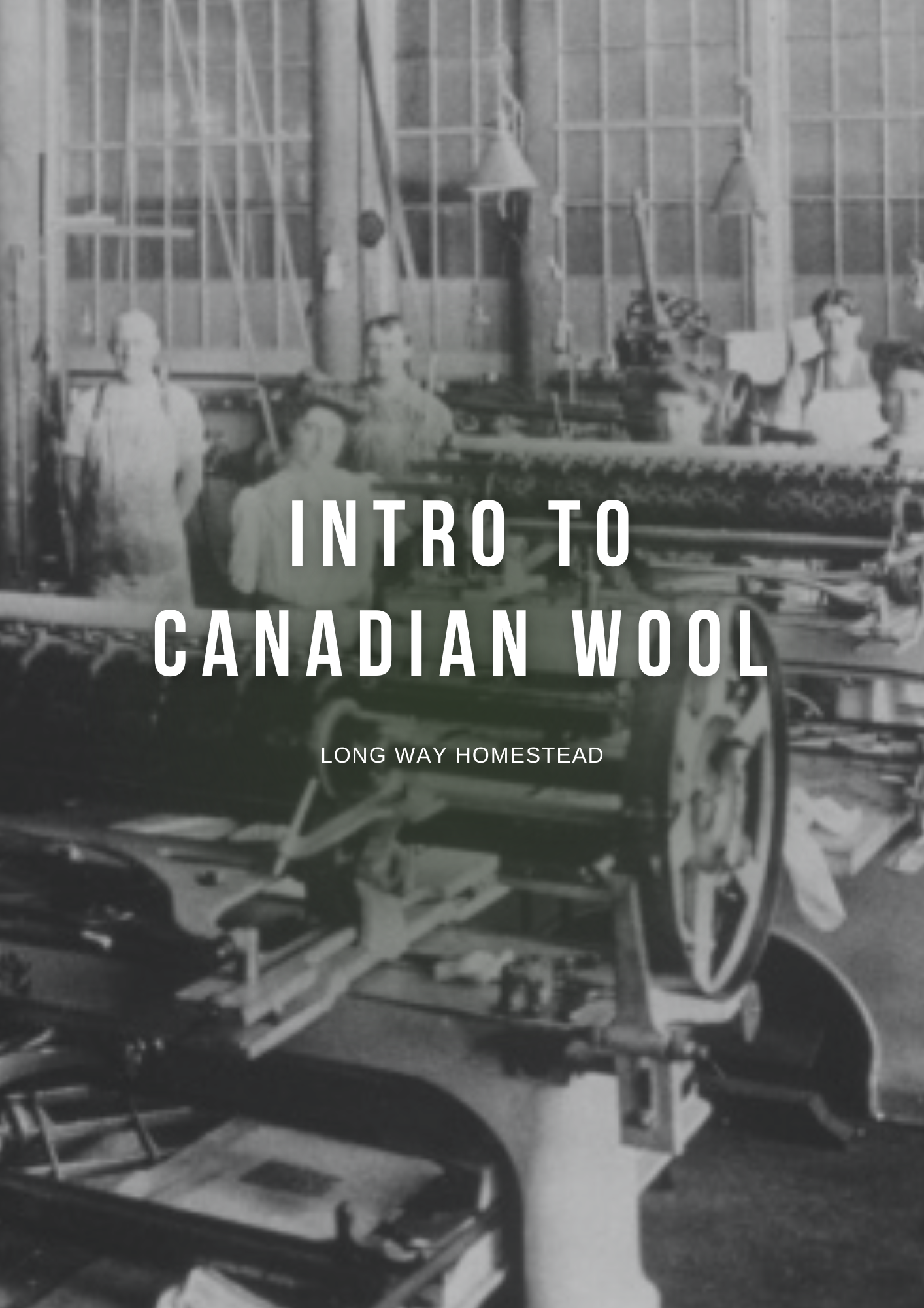 A Year of Canadian Wool — long way homestead