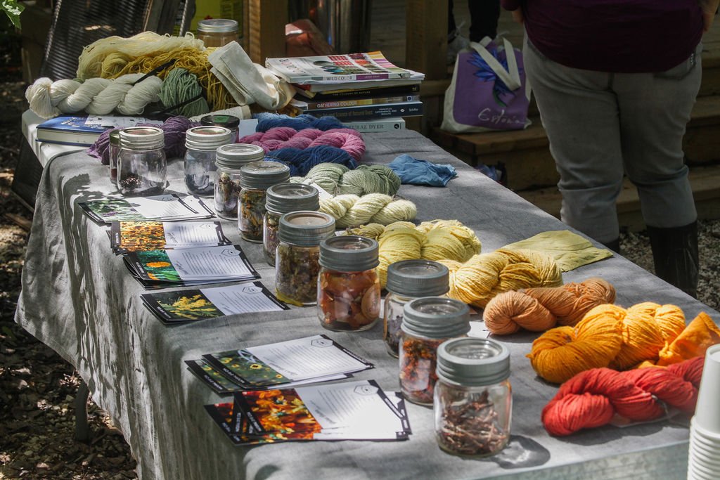 DyeKitchen2024-18.jpg