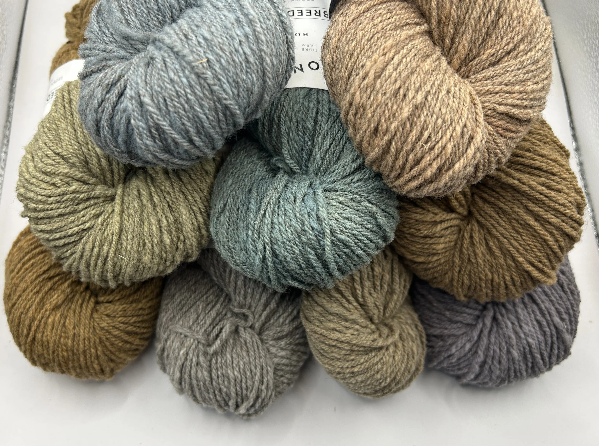 Rambo Full-1.jpg (Copy)