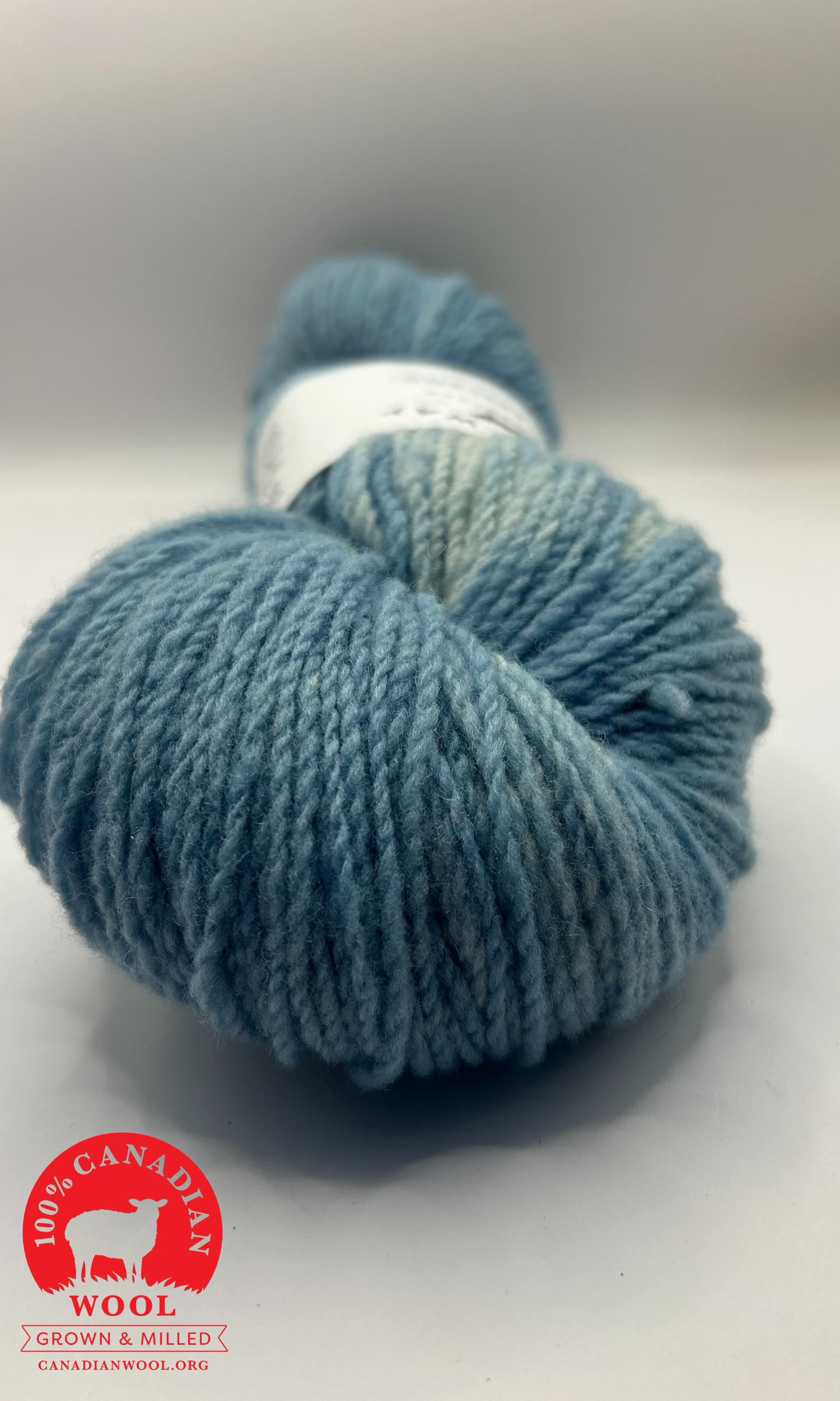 Grassland Yarn Fingering - Blue Fescue