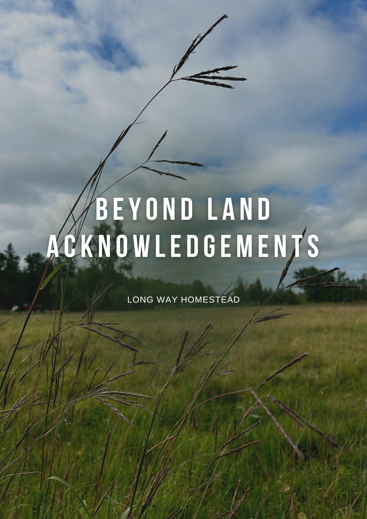 Year of Canadian Wool.png